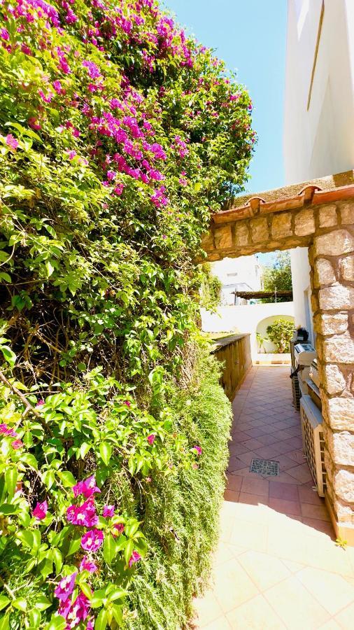 Villa La Zagara By Caprirooms Exteriör bild